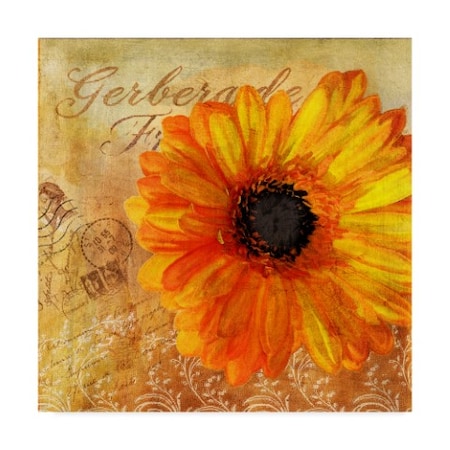 Art Licensing Studio 'Golden Gerbera I' Canvas Art,14x14